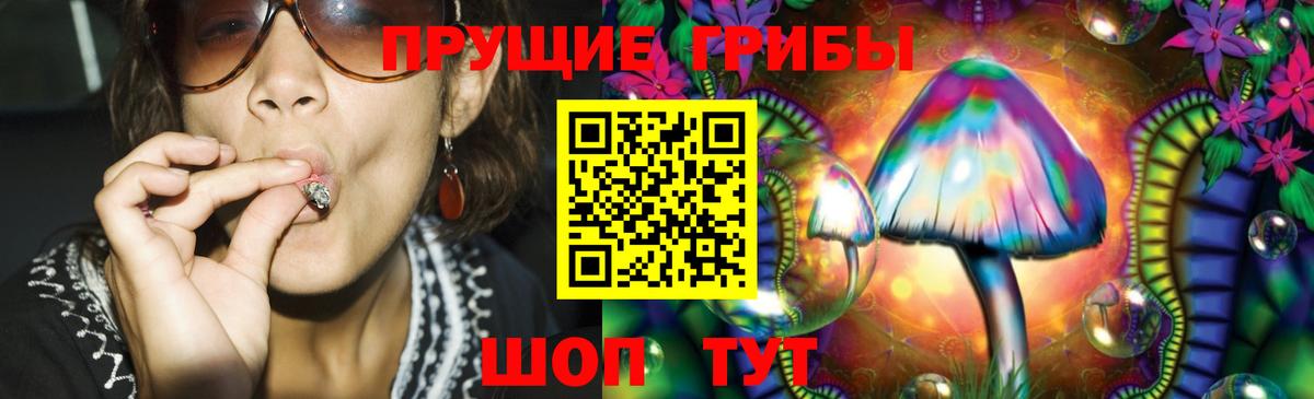 Галлюциногенные грибы прущие грибы  продажа наркотиков  Армавир  Вход с VPN 